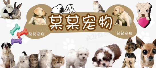 ETH钱包安卓版